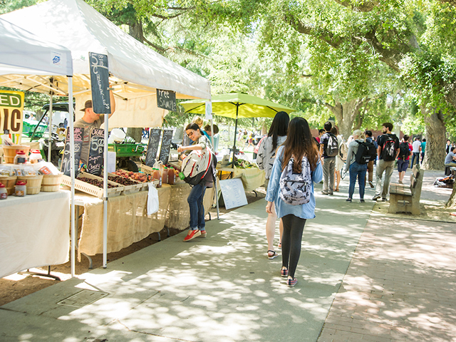 farmers market