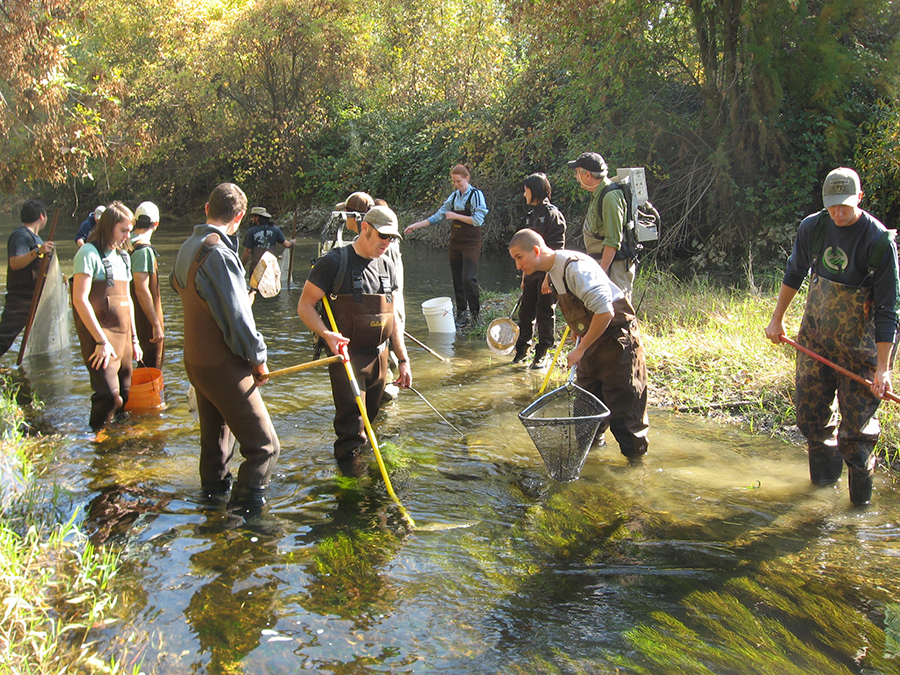 People working in a waterway