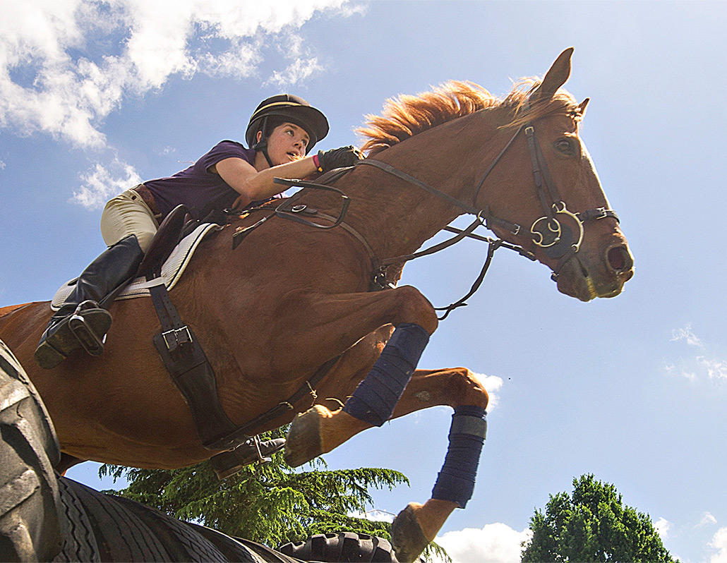 Horse leaping with jockey on its back