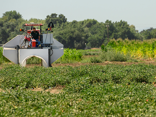 Phenotyping machine being used on crops