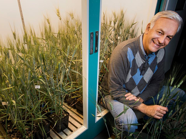 Person sitting amongst plants