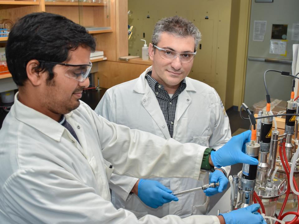 Professor Ilias Tagkopoulos, right, in his laboratory at the UC Davis Genome Center in 2016 with research specialist Navneet Rai. Tagkopoulos, whose work bridges computer science and biology, will lead a new institute for artificial intelligence in food systems supported by the U.S. Department of Agriculture and National Science Foundation. (UC Davis College of Engineering)
