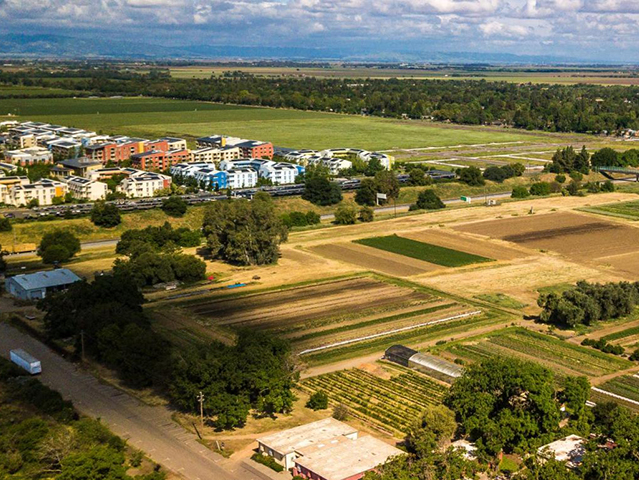 Aerial view of Davis, California