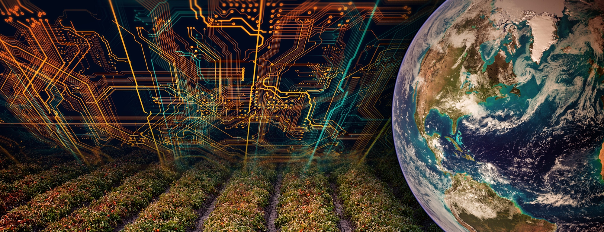 Circuit board, agriculture field and globe collage