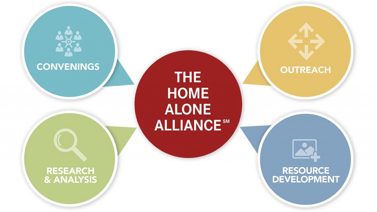 The Home Alone Alliance network graphic