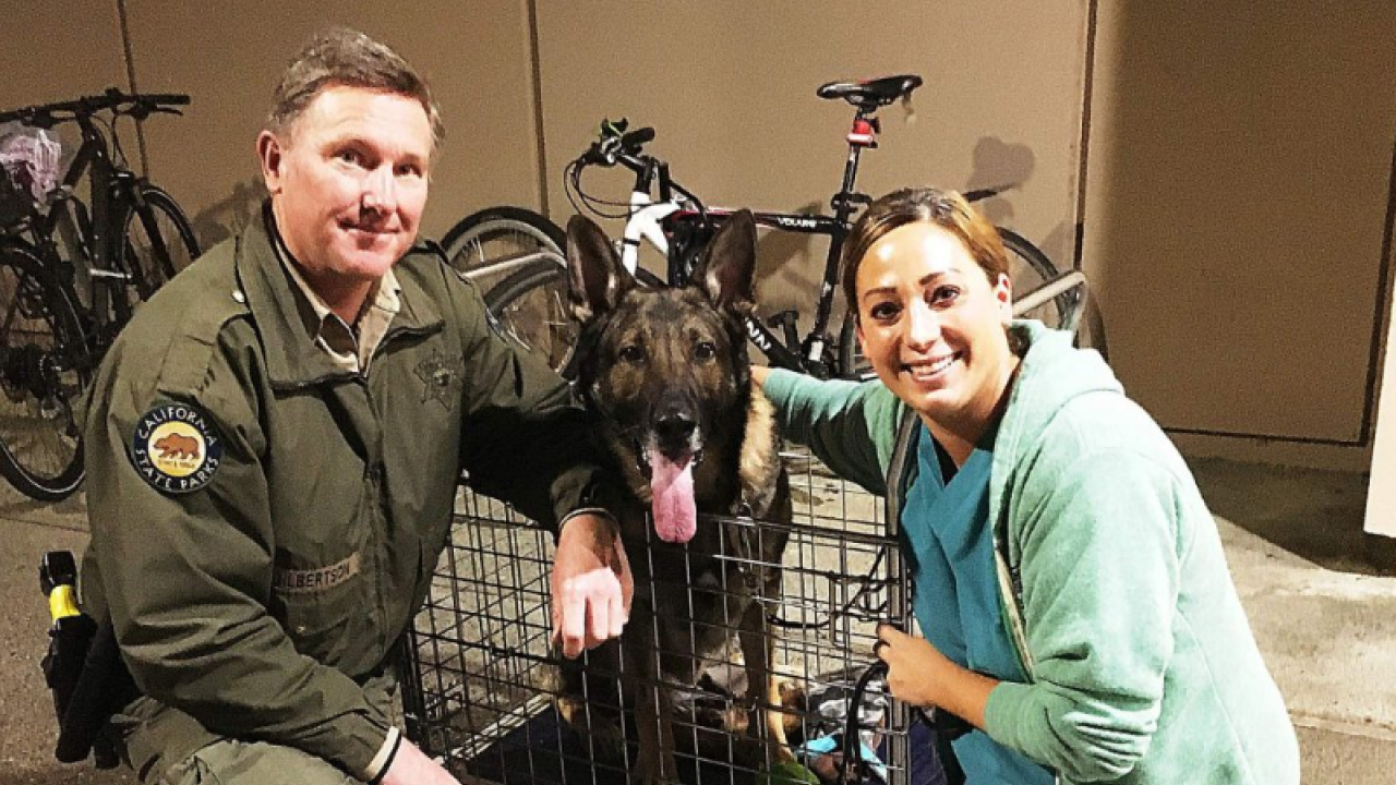 From left, California State Park Ranger Martin Gilbertson, Micro and UC Davis Veterinarian Teaching Hospital surgeon Dr. Kelly O'Connell. Submitted by Lorraine Jewett State park ranger, dog and UCD vet