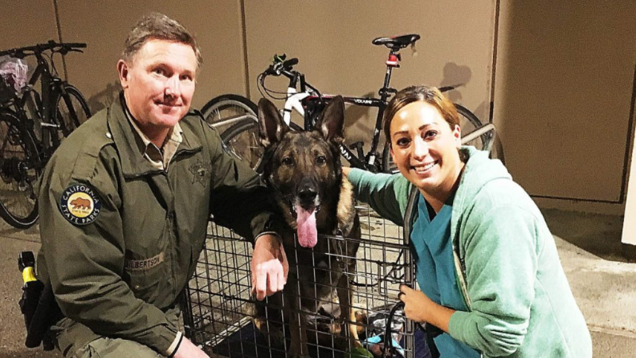 State park ranger, dog and UCD vet