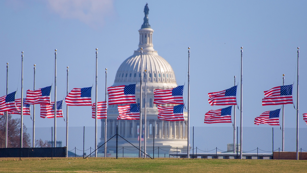 capitol flag