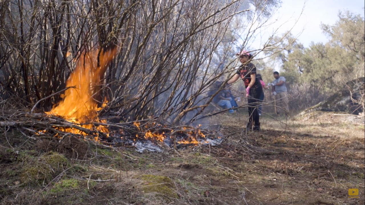 Fire burning outdoors