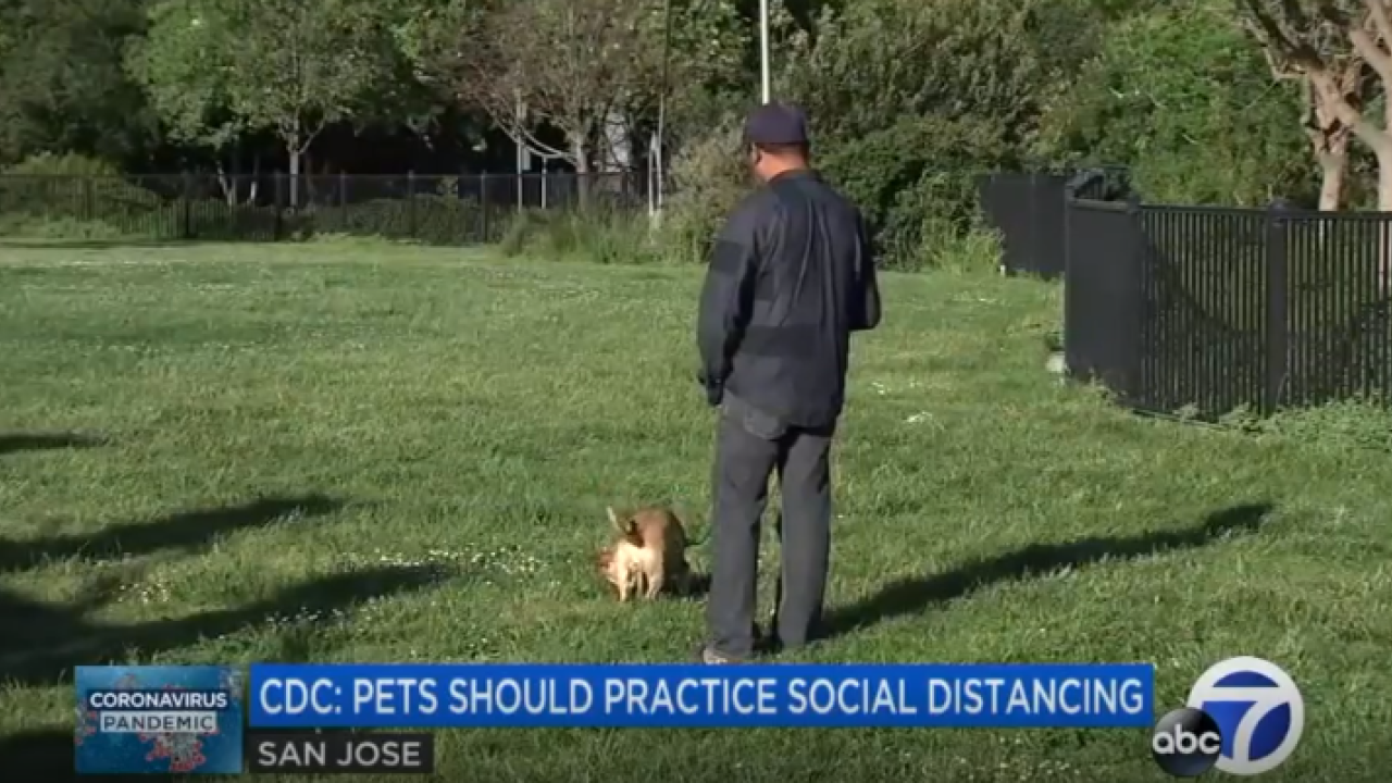 Person and dog outside