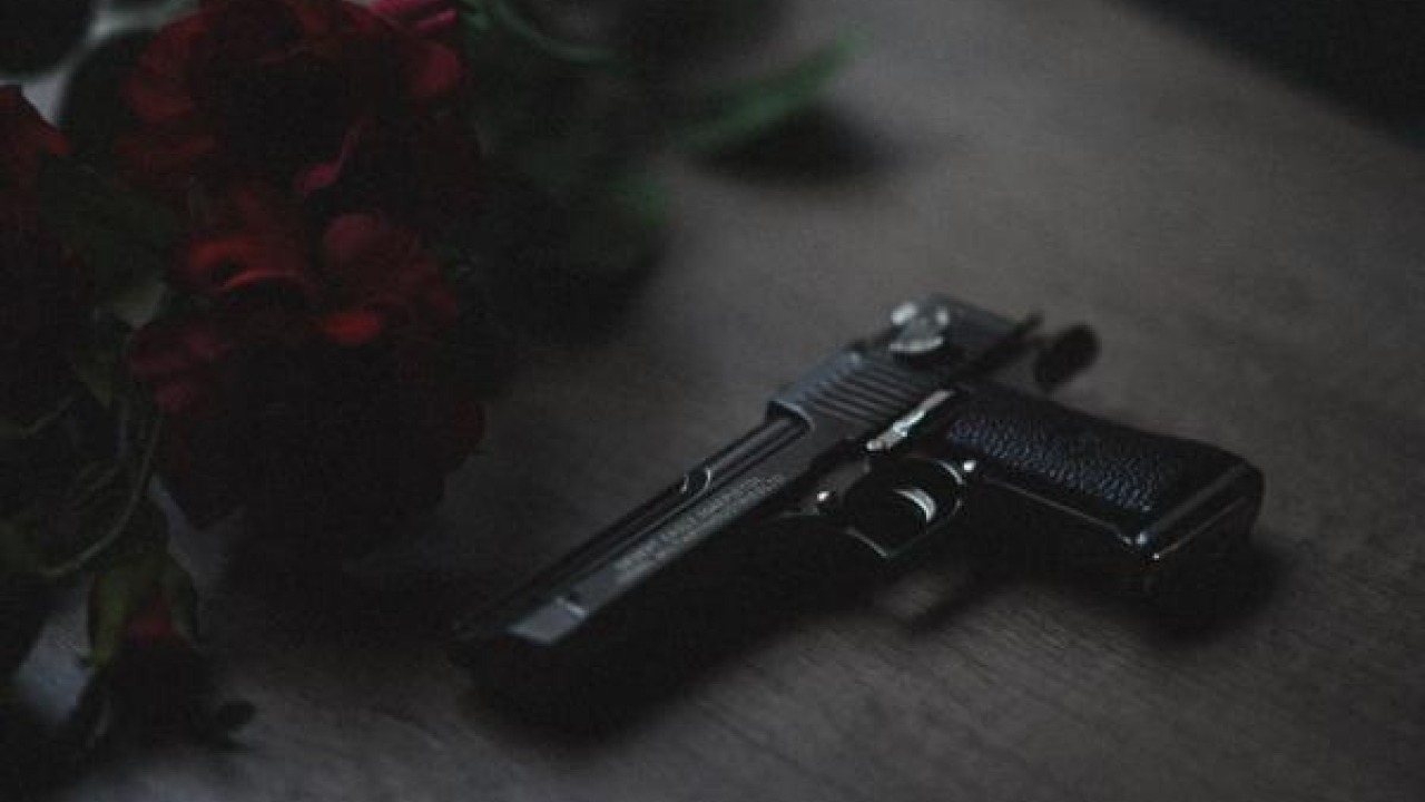 Gun