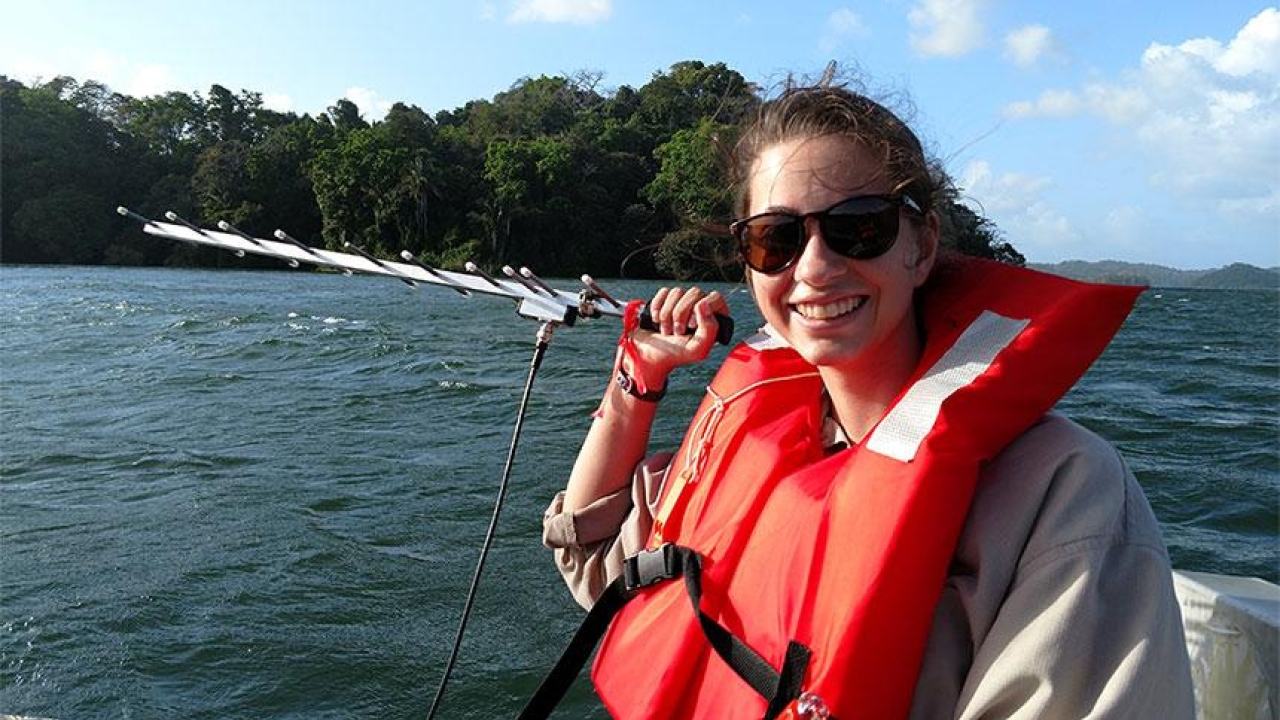 Brianna Pinto, shown here in Panama, is one of the growing number of UC Davis students who successfully compete for Benjamin A. Gilman International Scholarships to help pay for programs abroad. Student on a river in Panama, holding a scientific instrument