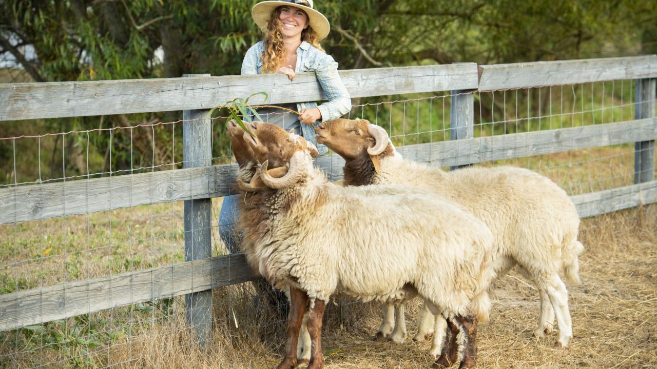 Snazzy Duckworth with her new Awassi sheep Snazzy Duckworth with her new Awassi sheep