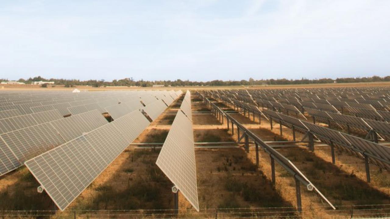 Solar panels on a field can help UC Davis become the first zero-carbon college campus.