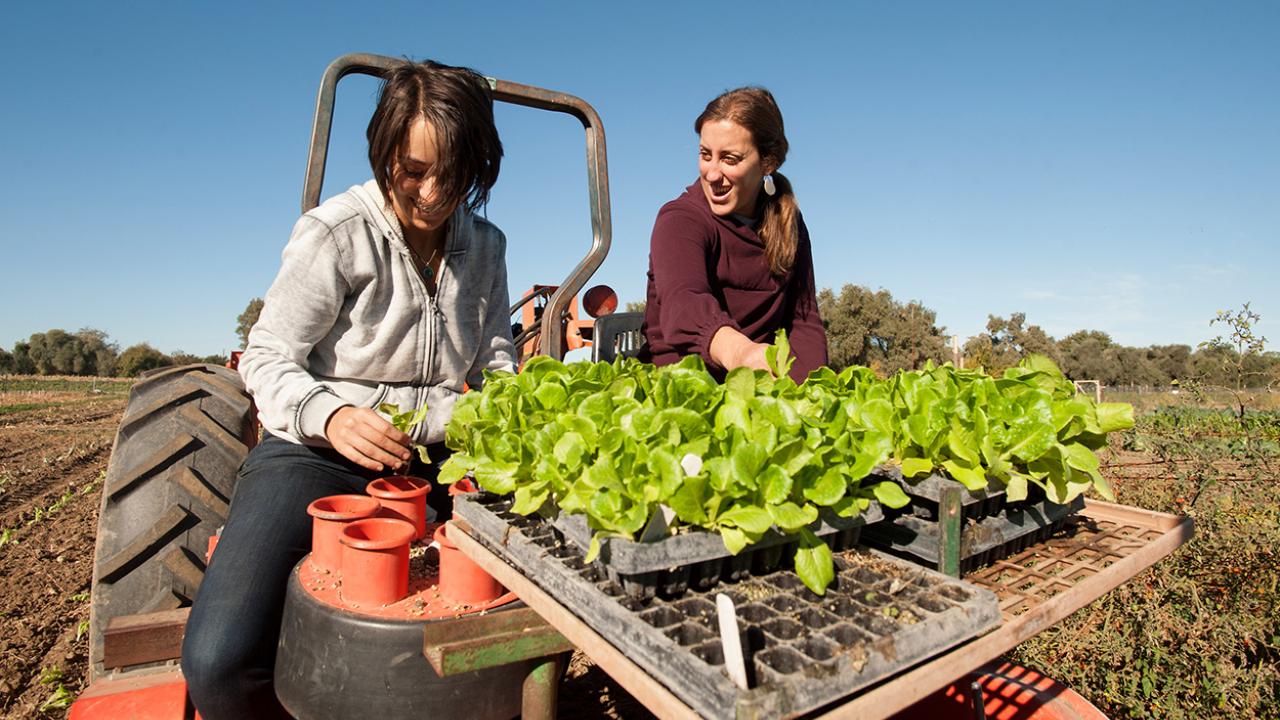 Two UC Davis students on a tractor at the student farm - dirt field in background