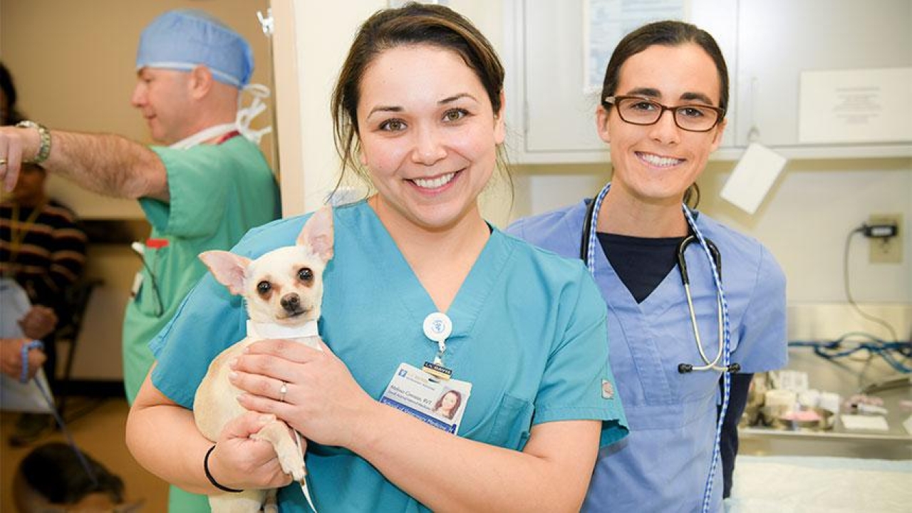 A student holding a dog with another student in the background