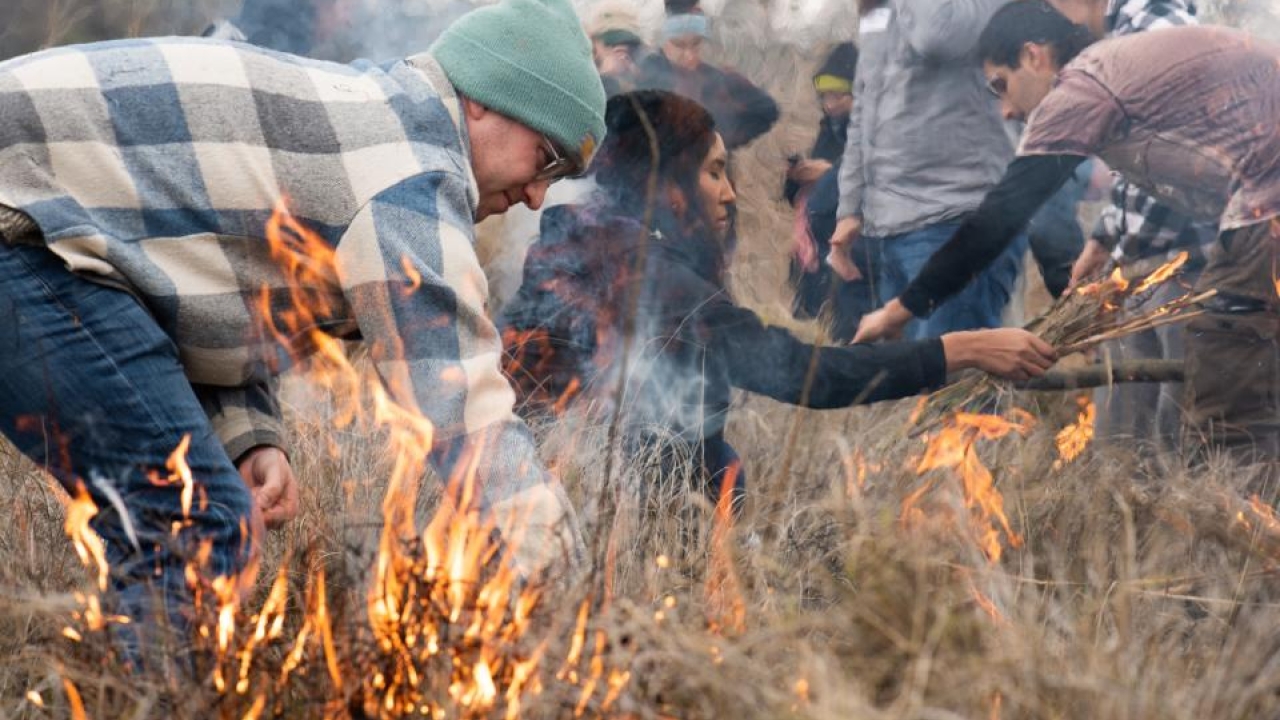 UC Davis students, academics and members of the local Native American community take part in a collaborative cultural burn at the Tending and Gathering Garden at the Cache Creek Nature Preserve in Woodland. (Alysha Beck/UC Davis) UC Davis students, academics and members of the local Native American community take part in a collaborative cultural burn at the Tending and Gathering Garden at the Cache Creek Nature Preserve in Woodland.