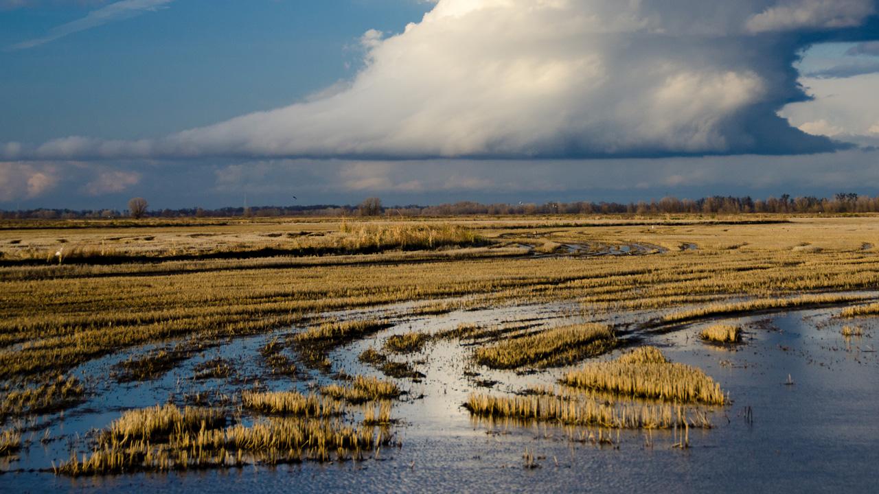 Wetland and rain cloud in the distance display how UC Davis global water crisis research.