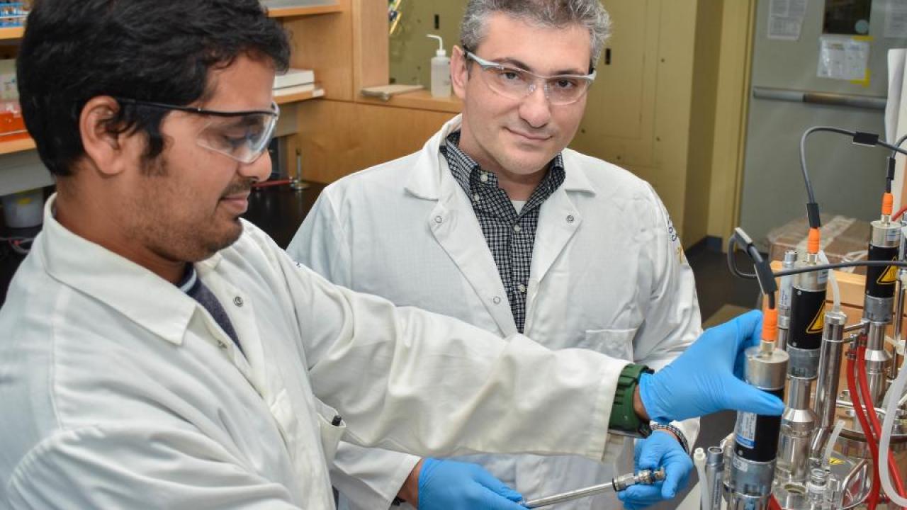 Professor Ilias Tagkopoulos, right, in his laboratory at the UC Davis Genome Center in 2016 with research specialist Navneet Rai. Tagkopoulos, whose work bridges computer science and biology, will lead a new institute for artificial intelligence in food systems supported by the U.S. Department of Agriculture and National Science Foundation. (UC Davis College of Engineering)