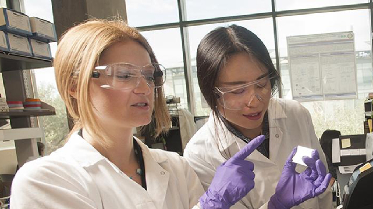 Two people examining a slide in a lab