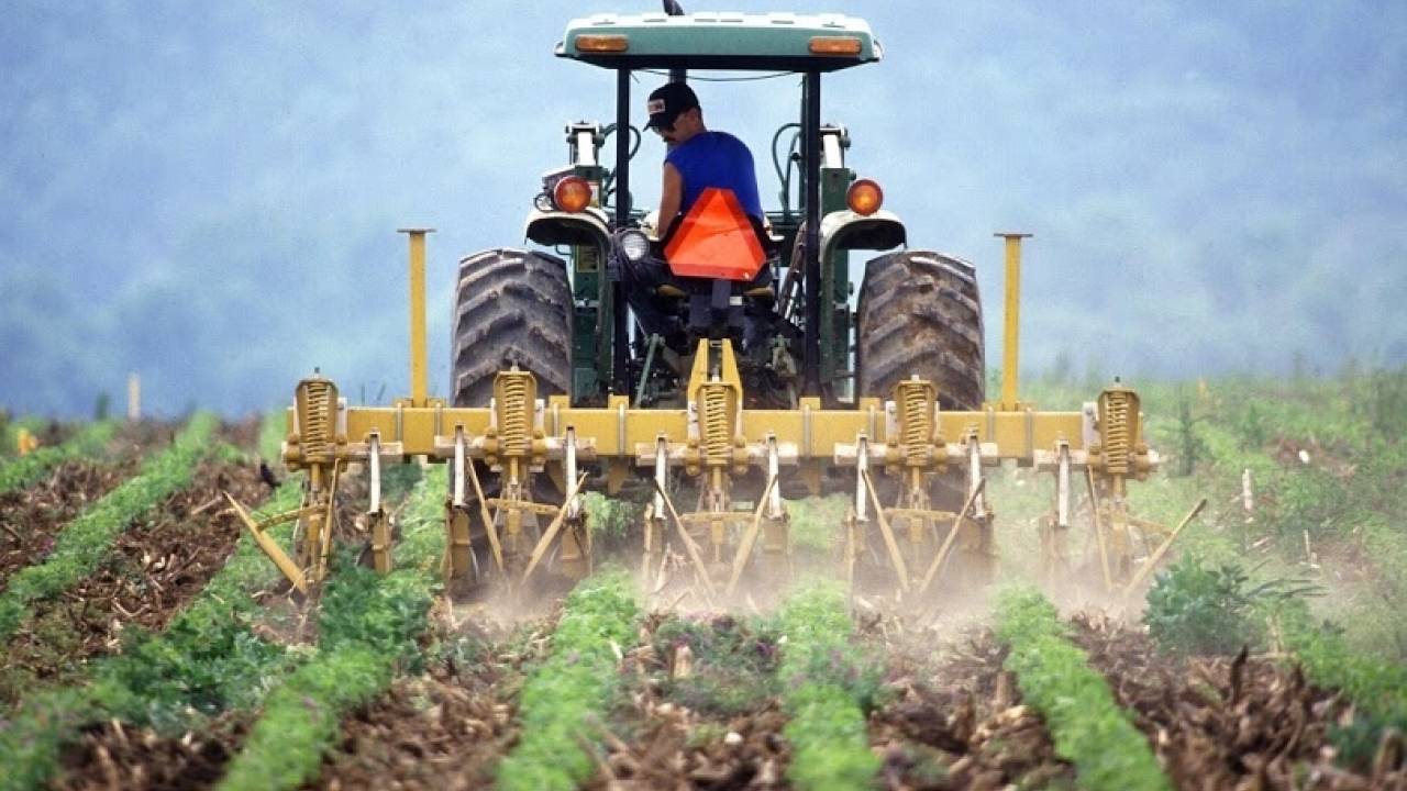 Tractor plowing a field with crops planted