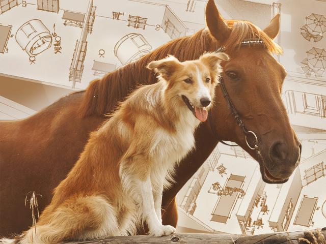 Horse and dog with rendering of new Vet Med center in background