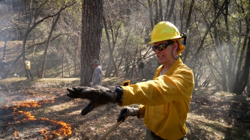 Male forester in yellow hard hat and yellow shirt with hand held in front of him, speaking, during prescribed burn.