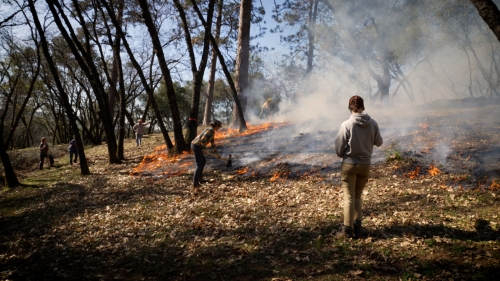 An orange frame mcircles a medaow with smoke as six people scattered throughout a wooded property during prescribed burn.