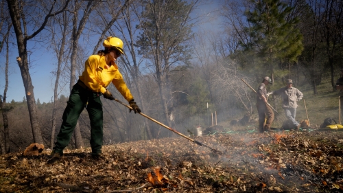 Female firefighter rakes leaves while tending a prescribed burn, with people in distance.