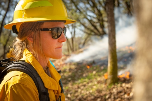 Woman in yellow hard hat and yellow shirt walks in forest with smoky background during prescribed fire.