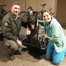State park ranger, dog and UCD vet