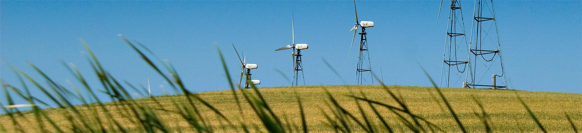 Green hill and blue sky with wind turbines in the distance and grass blades in the foreground