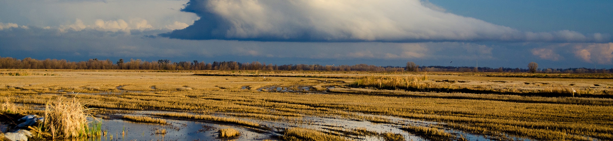 Wetland and rain cloud in the distance display UC Davis global water crisis research.