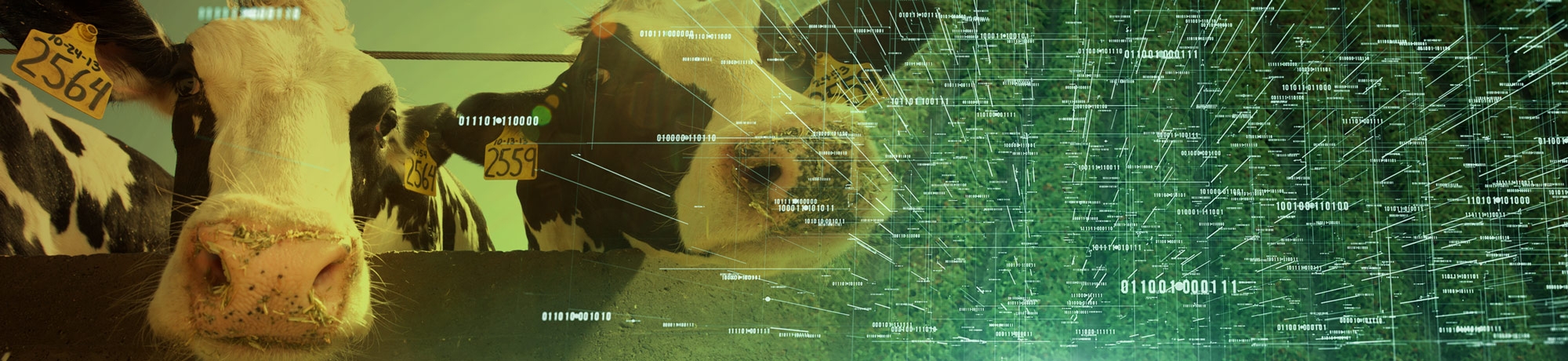 The future of farming and the field of agriculture using data, agriculture technology and research, and putting it into action on farms locally and globally to help the future of the world.