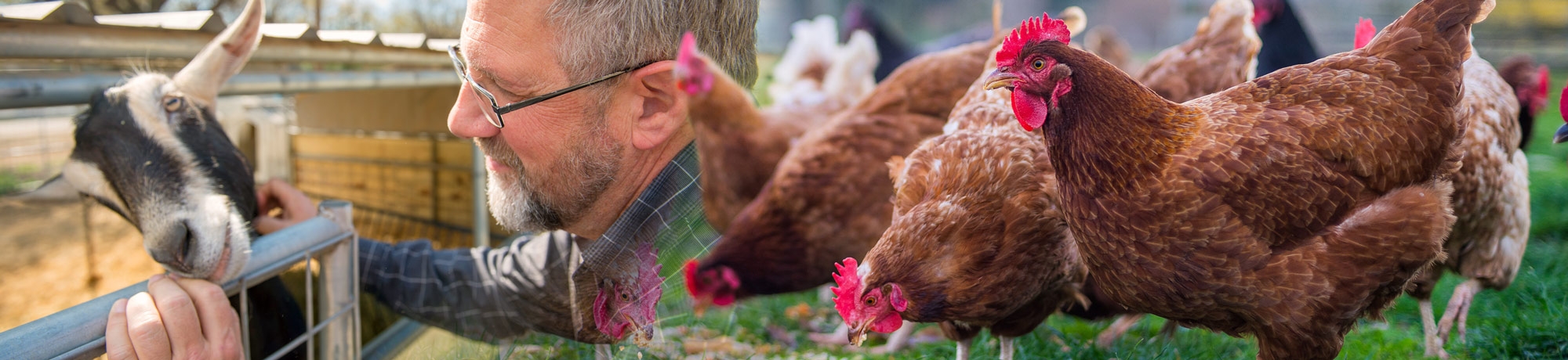 The future of agriculture farming technology and agriculture research. Especially livestock farming and innovative, big ideas from UC Davis Smart Farm.