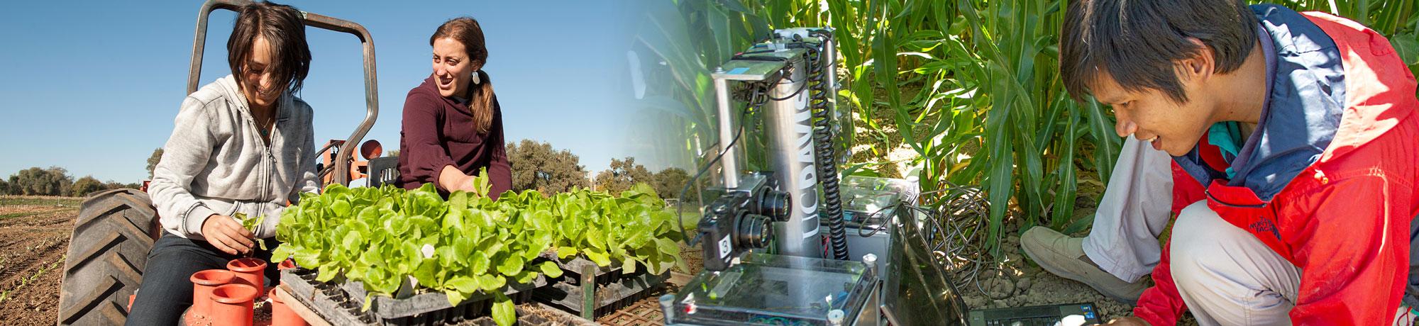 The new Agricultural Technology program of UC Davis Smart Farm will prepare students for the new farming technology and smart farming practices for the future of food and teach sustainable agriculture methods.