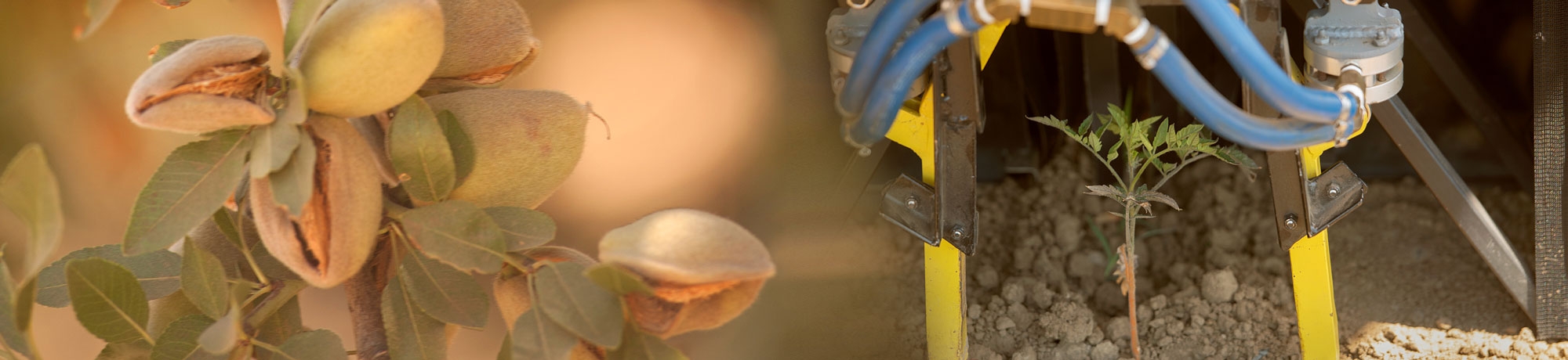 The future of food and how to feed the global population by 2050 using agriculture technology, agriculture research, and sustainable agriculture methods and training programs. Funding inventions to go out to farmers to help the future of the world.