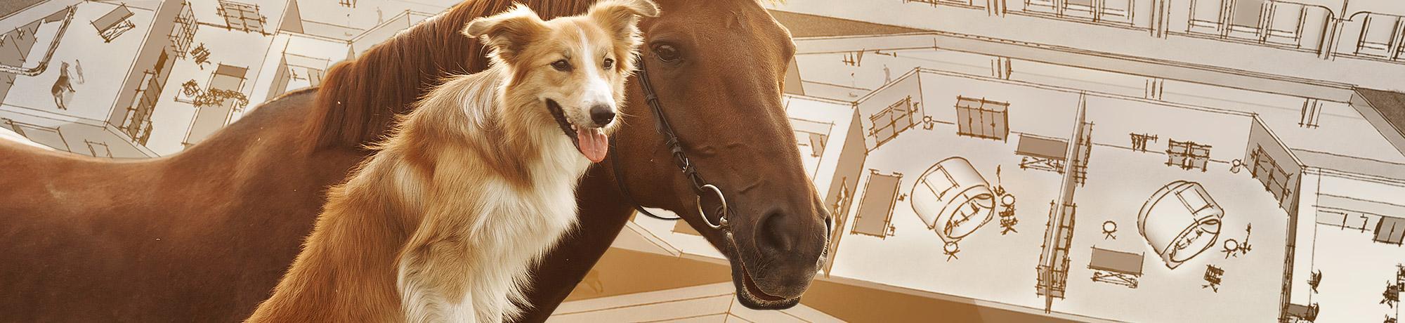 Horse and dog in front of sketches of veterinary medical center
