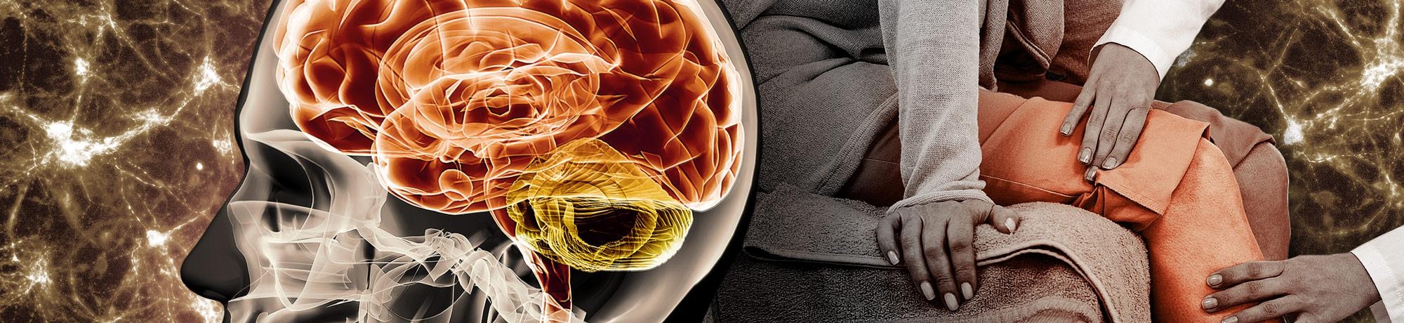 Image of a brain 